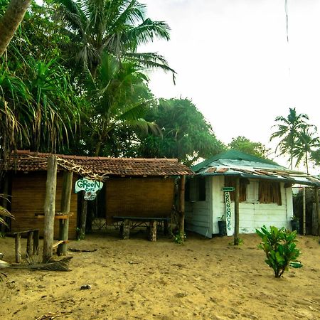 Hikkaduwa Backyard Beach Homestay 高尔 外观 照片
