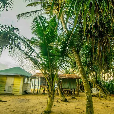 Hikkaduwa Backyard Beach Homestay 高尔 外观 照片