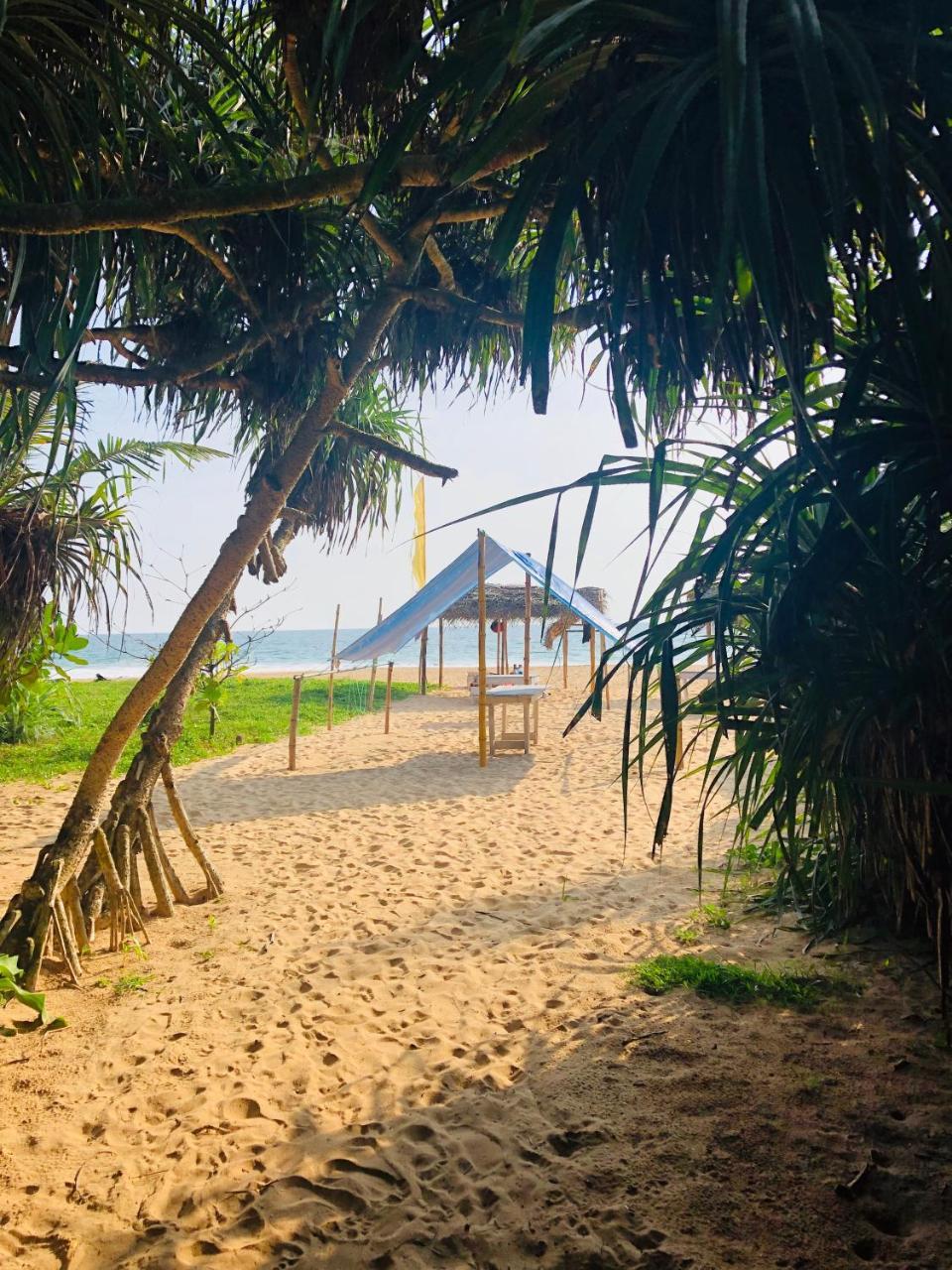 Hikkaduwa Backyard Beach Homestay 高尔 外观 照片