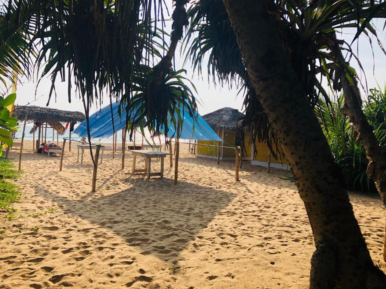 Hikkaduwa Backyard Beach Homestay 高尔 外观 照片
