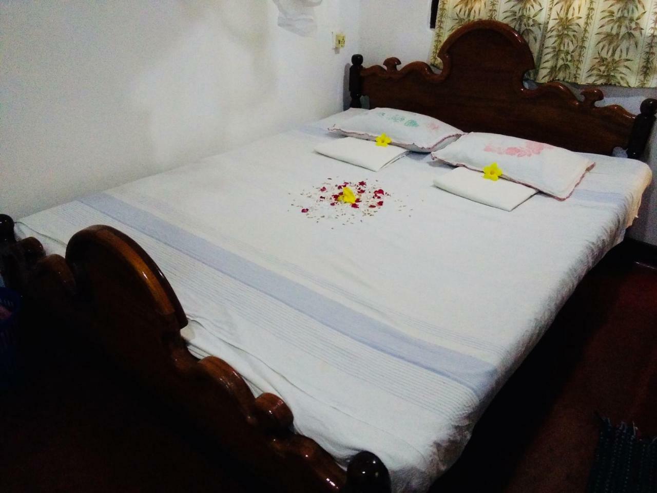 Hikkaduwa Backyard Beach Homestay 高尔 外观 照片