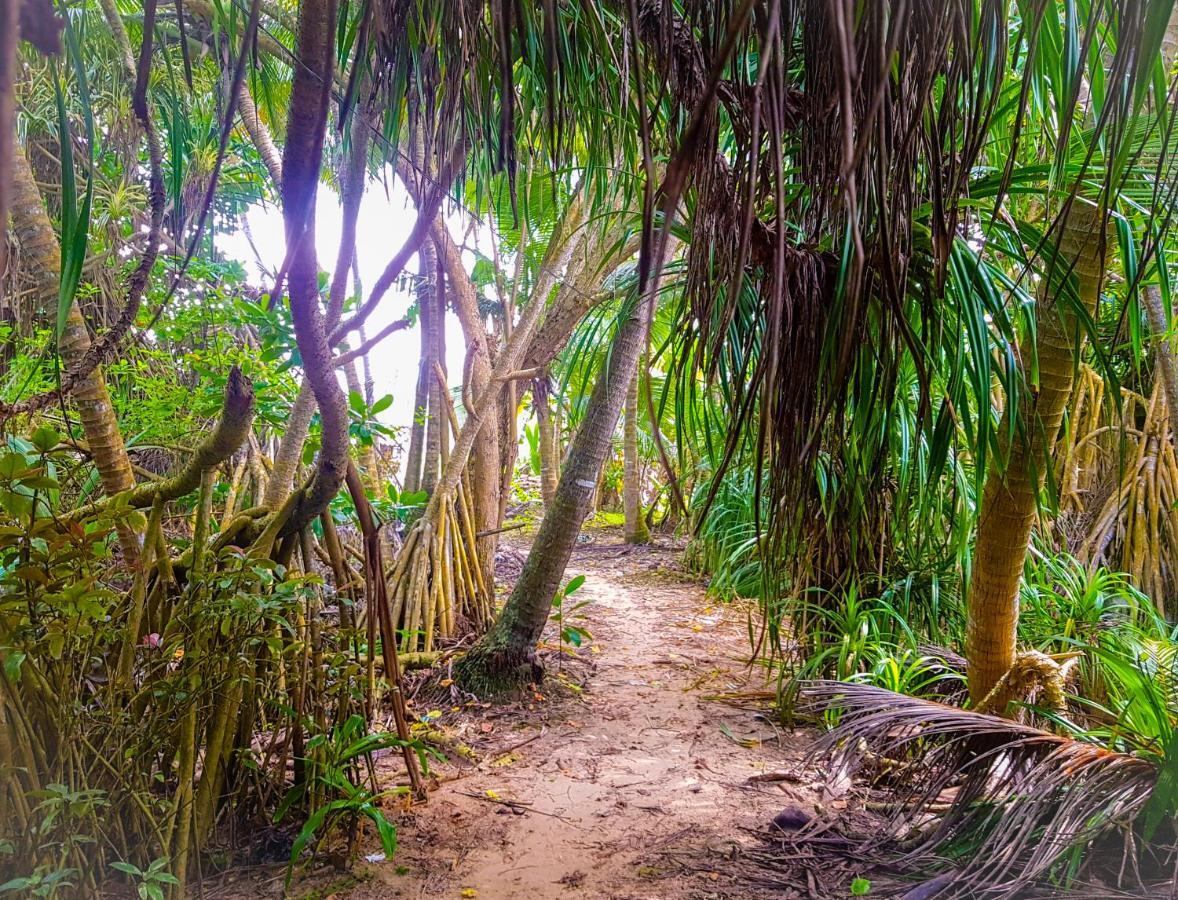 Hikkaduwa Backyard Beach Homestay 高尔 外观 照片