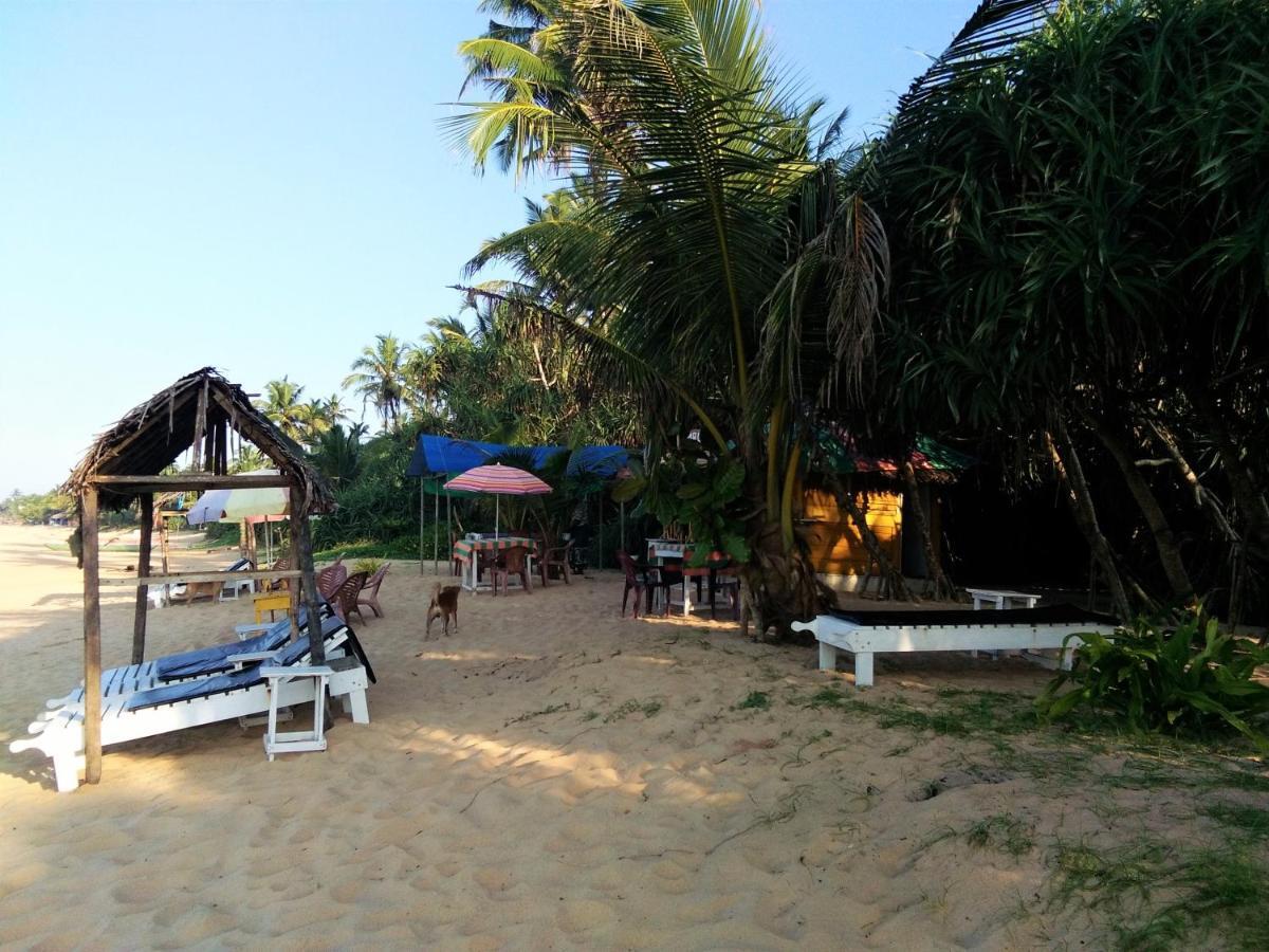 Hikkaduwa Backyard Beach Homestay 高尔 外观 照片